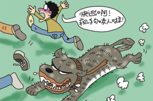 網(wǎng)站收錄在網(wǎng)站優(yōu)化中起到什么作用？