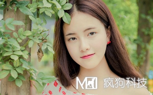 2017年網(wǎng)站推廣的20個(gè)方法策略？