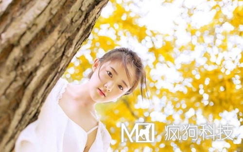 收藏：快速頁(yè)面收錄的六大絕技！